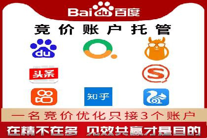 竞价排名案例：跨平台推广效果分析